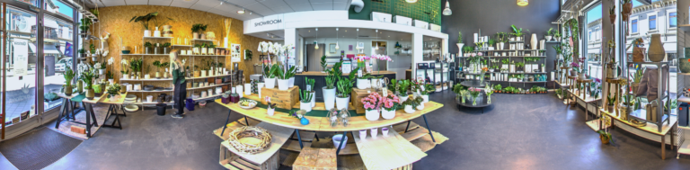 360-bild från en butik